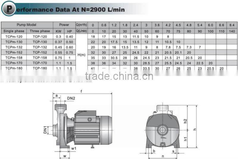 Cast iron centrifugal single phase electric water pump TCPm 190