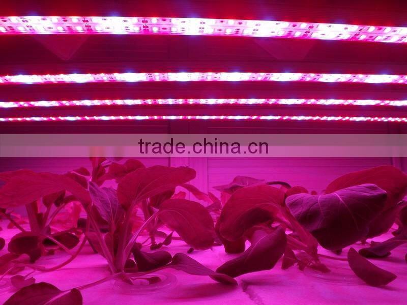 10W led bar lamp hydroponic grow light system for growing lettuce pepper 2ft