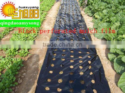Qingdao huaxuyang supply 3 layers Blow molding perforated agricultural polyethylene sheet