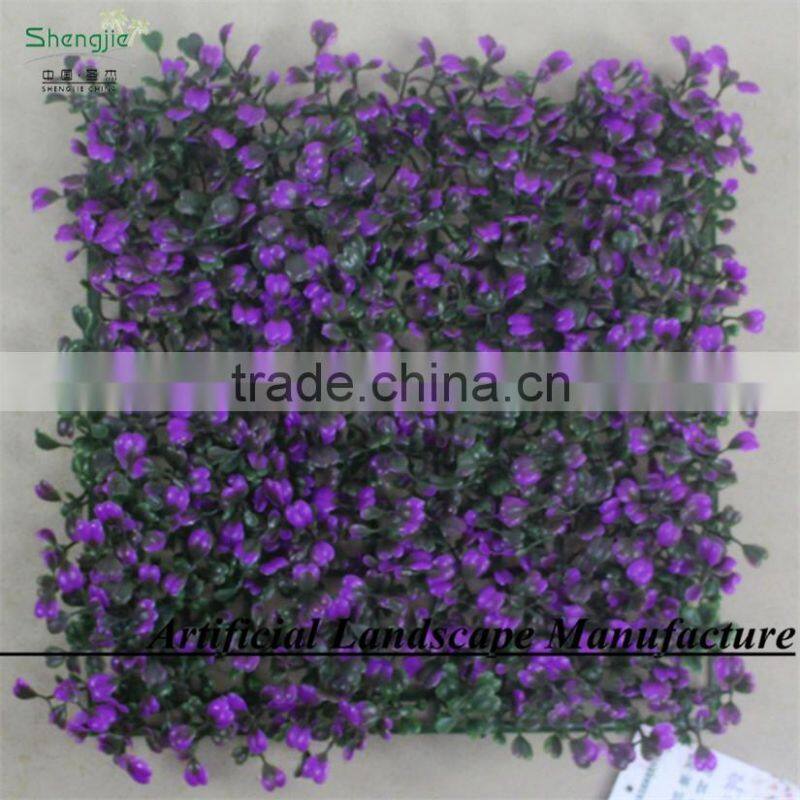 SAS162013 Dark Purple Boxwood Hedges Mat