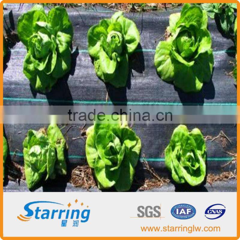 Farm Gardening Landscape Geotextile Fabric/Sheet/Roll