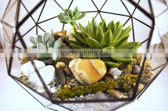 Geometric Stained Glass vase Terrarium Ball