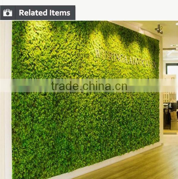 Everlasting artificial green wall plastic vertical green wall