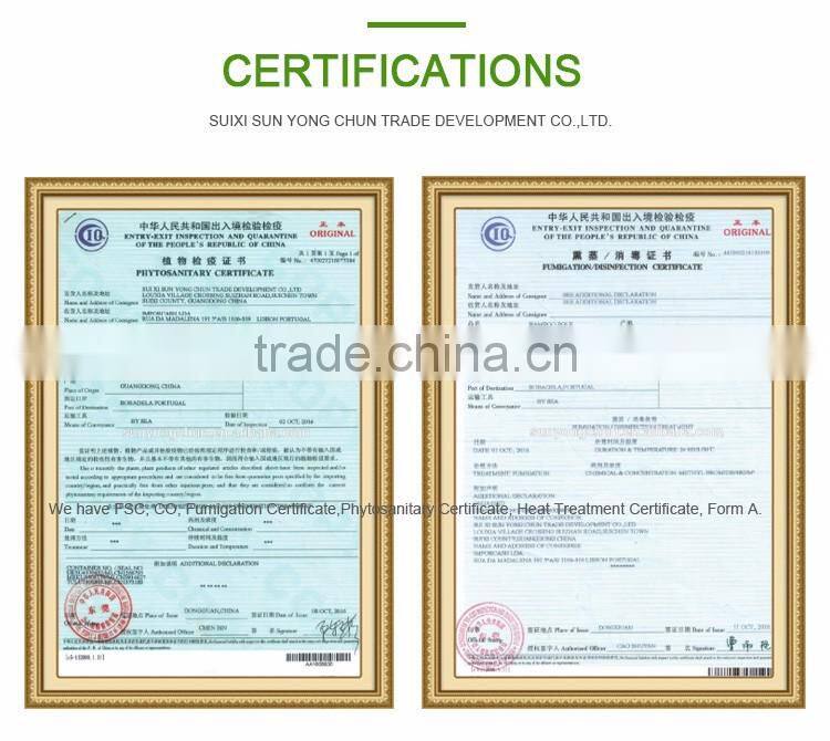 factory sale natural cheap customized plastic coated artificial bamboo fence