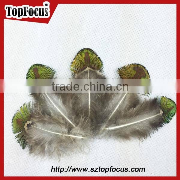 hot sale designer indian cheap natural artificial peacock feathers