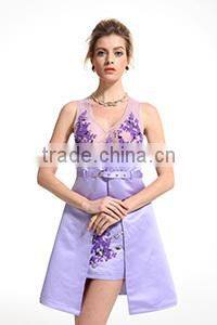 Wholesale Newest Brand Sexy Mini V-neck Fashion Dress 2015 Women Clothing