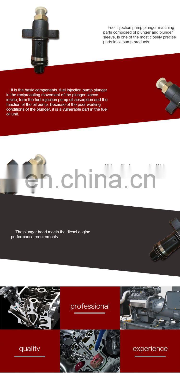 diesel engine fuel common rail pump plunger element F019D01303