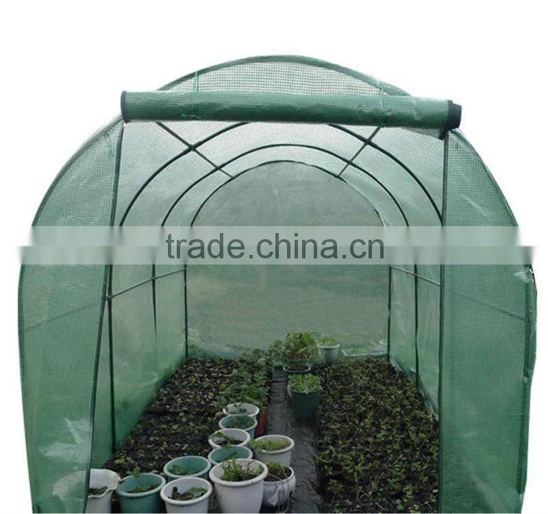 Large walk in greenhouse windows
