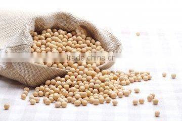 Belt Vacuum dryer for soybean