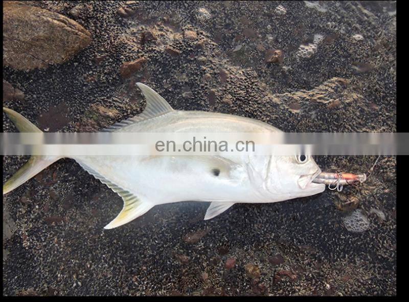 7.5cm 10.2g Lifelike Hard Bait Bass Swimbait B KK Treble Hook Trolling Floating Minnow