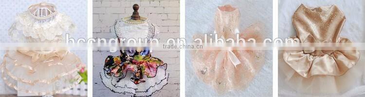 Best dog training dog collar