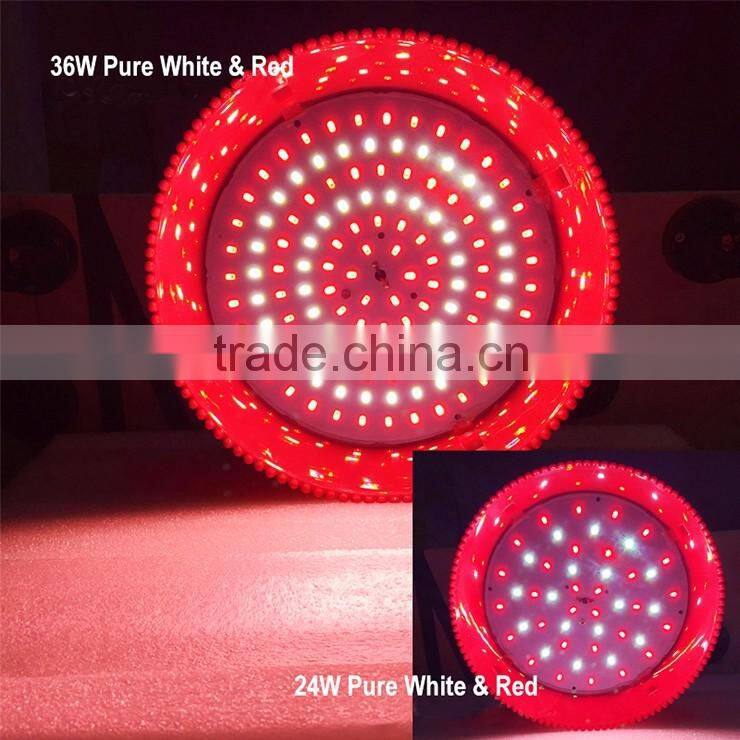 Hot Selling Energy Saving Eco-friendly Manufacturer in China 24W Modern LED Pendant Fresh Light