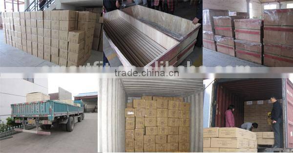 iron sand ankle weight for man