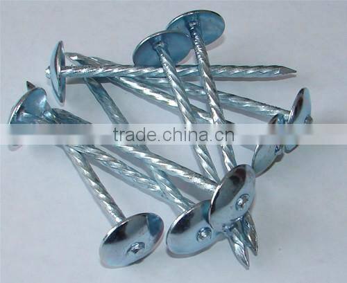 china umbrella head roofing nailsdirect from factory