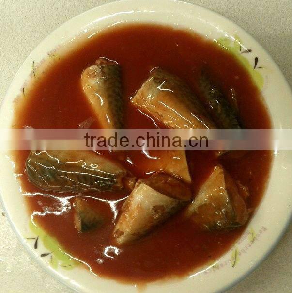 Chinese wholesale canned mackerel tomato