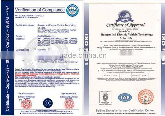 Electric Fat Tire Mountain Bicycles with LCD Display