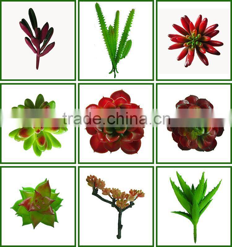 Plastic Baby Artificial Red Echeveria Succulent Stem with Green Heart for Room Decor