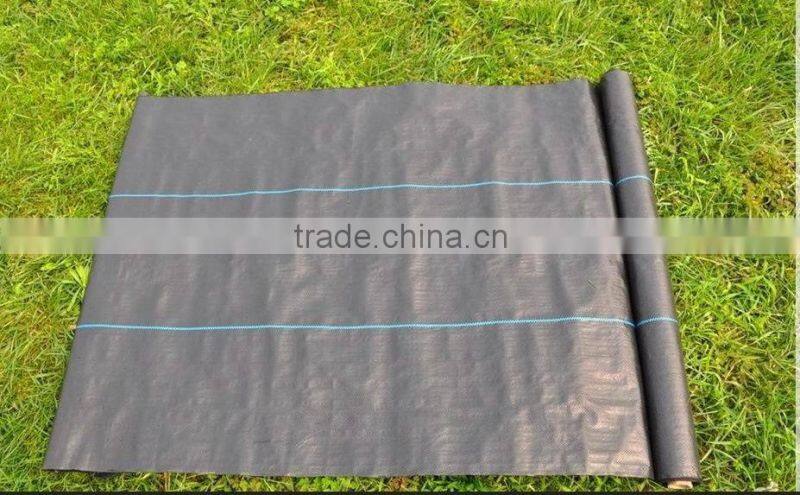 Dank heavy Duty Woven Weed Control Ground Mulch Landscape Fabric, weed barrier fabric, Chinese Anti UV Weed Control Fabric