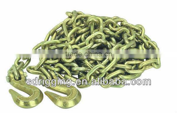 Binder Chain with Clevis/Eye Grab Hook