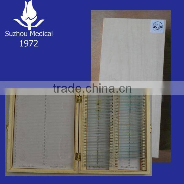 Prepared Microscope Slide Set