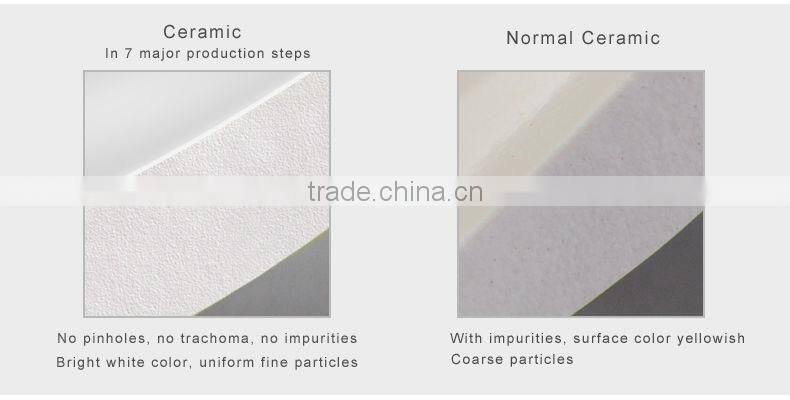 Modern design ceramic art decoration,biodesign decoration