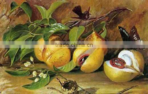 Best Quality Of Nutmeg Oil From BORG EXPORT |100% Natural Nutmeg Oil | At low Price