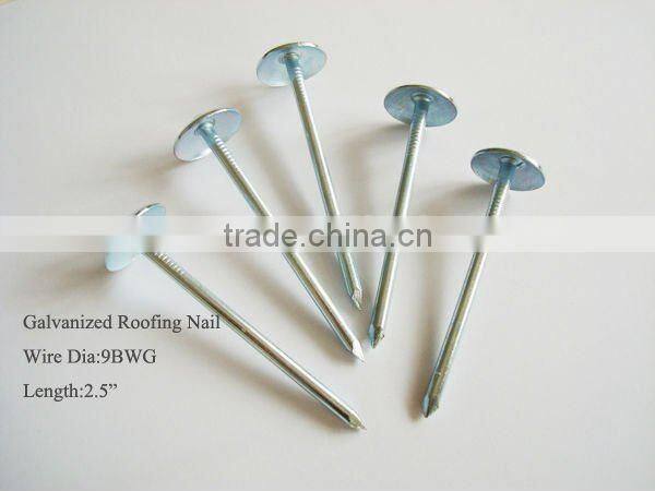 smooth umbrella head roof nails