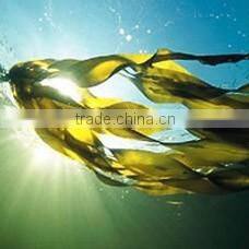 Ultra Low Viscosity Sodium Alginate food grade