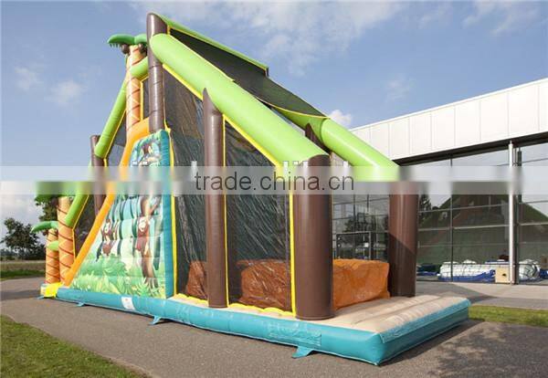 Adult giant bouncy castle inflatable