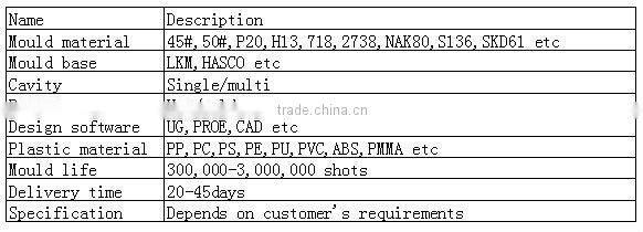 High Precision Plastic Inject Mold