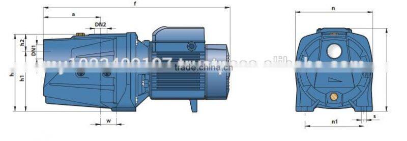 "Jet" Self-Priming Pump JSWm3BH