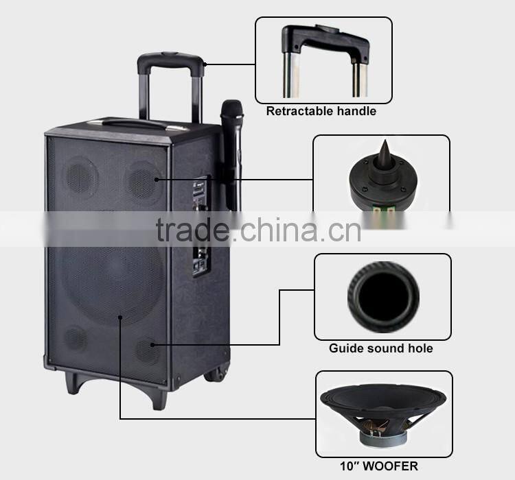 Rechargeable Wood 10inch Usb Trolly Speaker