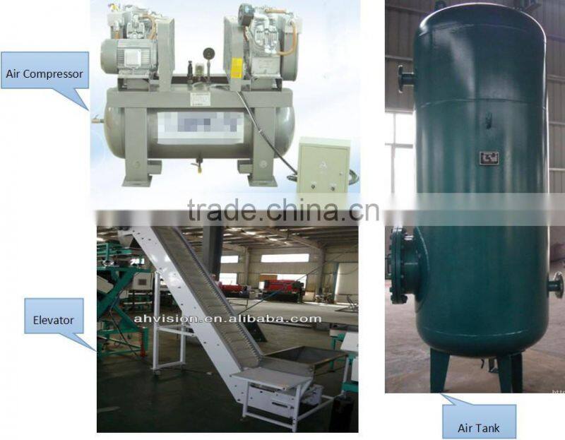 VSEE pine nut color sorter