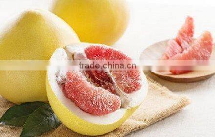 Delicious fruit pomelo