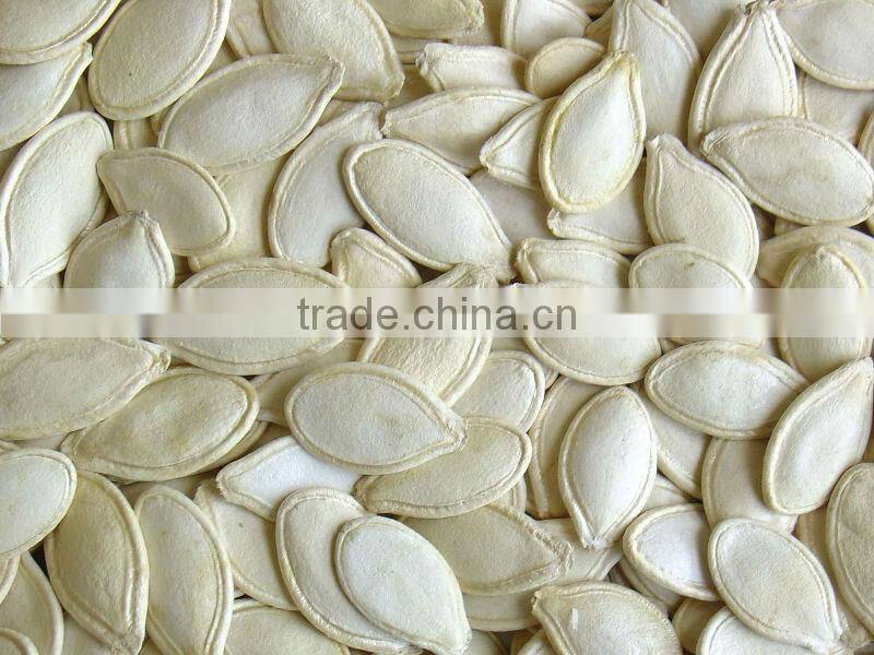 New crop shine skin pumpkin seeds