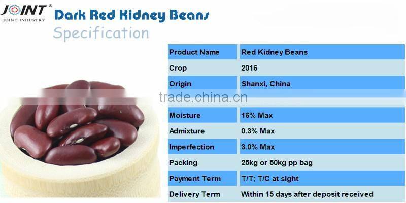 good quality chinese canned red kidney beans