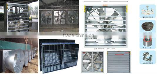 chicken animal husbandry equipment