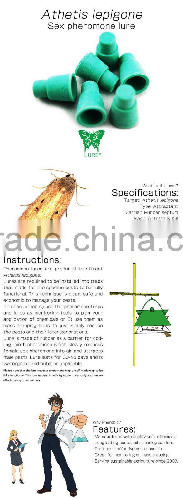 Pheromone Lure for Athetis lepigone, Sex Pheromone Attractant