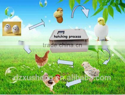 XS-60 PCS CE- Proved Farm family use poultry incubator for sale