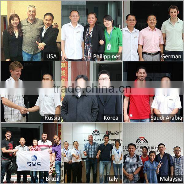 N45 Corrosion Proof D19 x 5mm Neodymium Magnet for Iphone Case