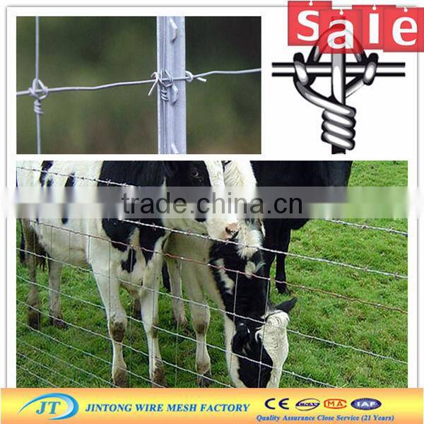 high end hot dipped galvanized cattle mesh fence with reasonable price in store