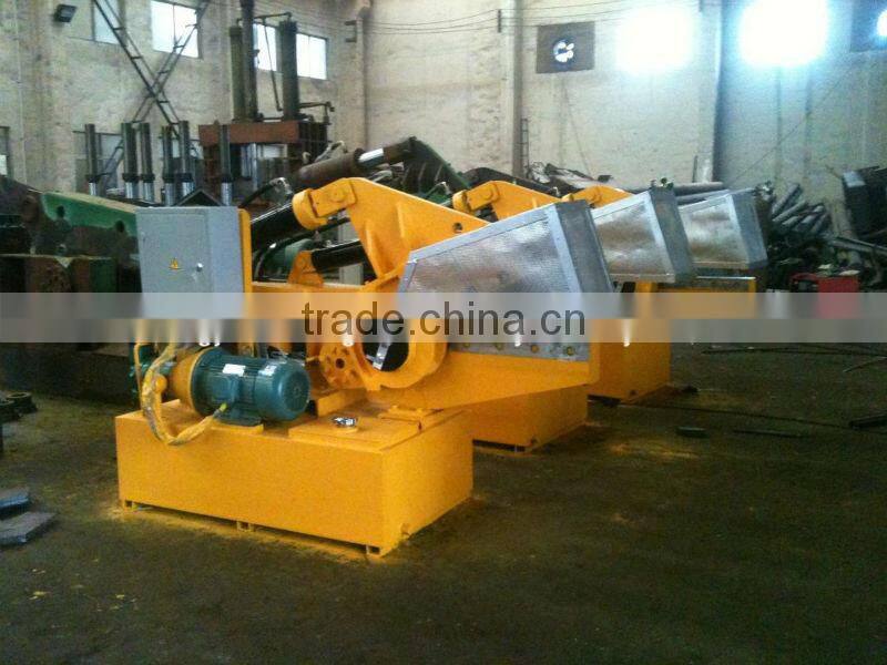 Large Metal Shear