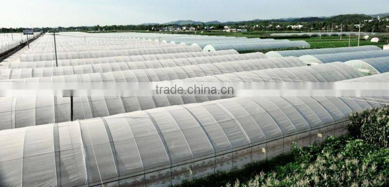 Plant greenhouse for flower