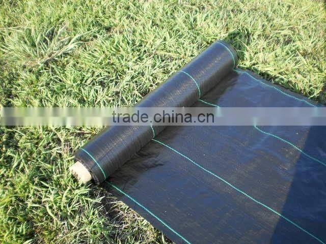 garden landscape fabric