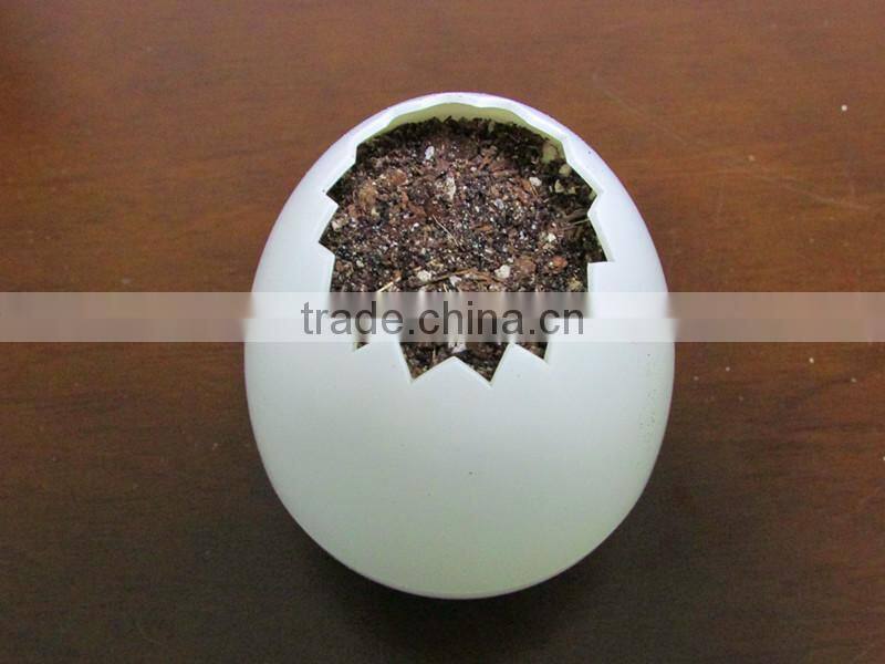 Office desk flower pots,plastic decorative flower pots,plastic flower pots from china