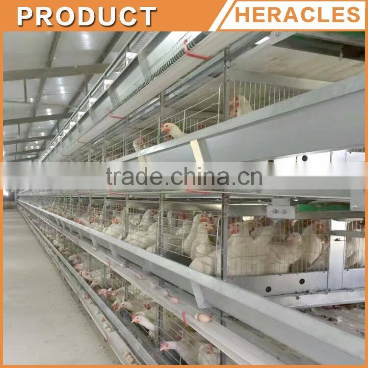 Heracles automatic chicken poultry farm layer cages for sale in zimbabwe