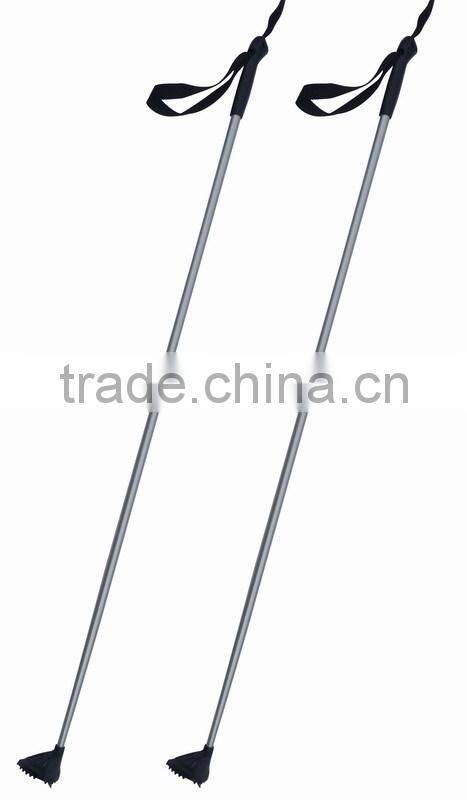 new cross country ski poles