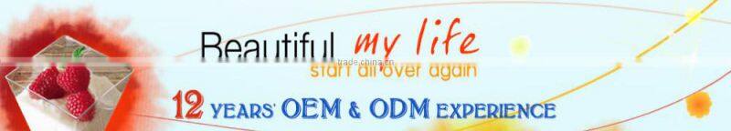 Fancy 2B Pencil for Kids Promotional Wooden Customed Pencils/Christmas kids love wooden cartoon pencil made in China