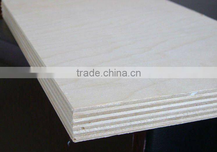 birch plywood