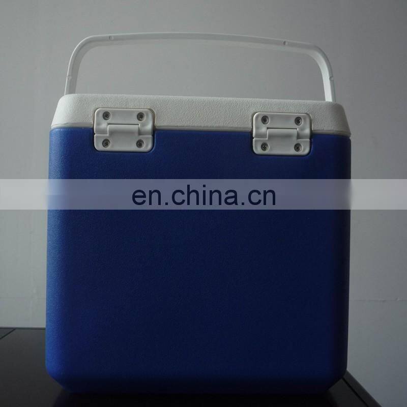 10L Car Cooler/Warmer Fridge Plastic Box for Picnic